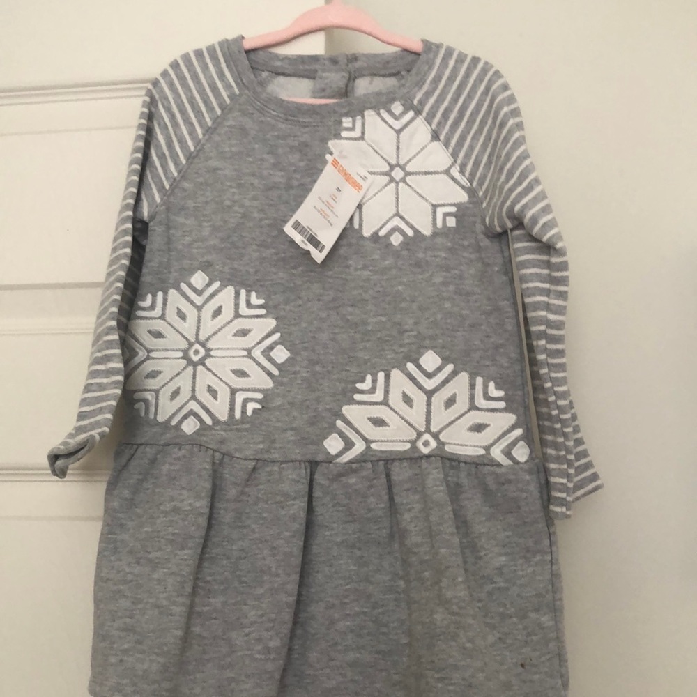 Gymboree Snow princess grey dress 2T NWT
